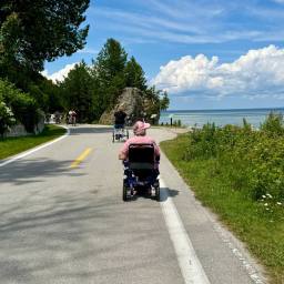 Best Things To Do On Mackinac Island With A Wheelchair