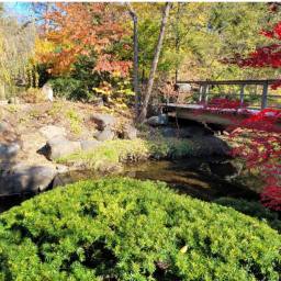 Visit Anderson Japanese Gardens With Me