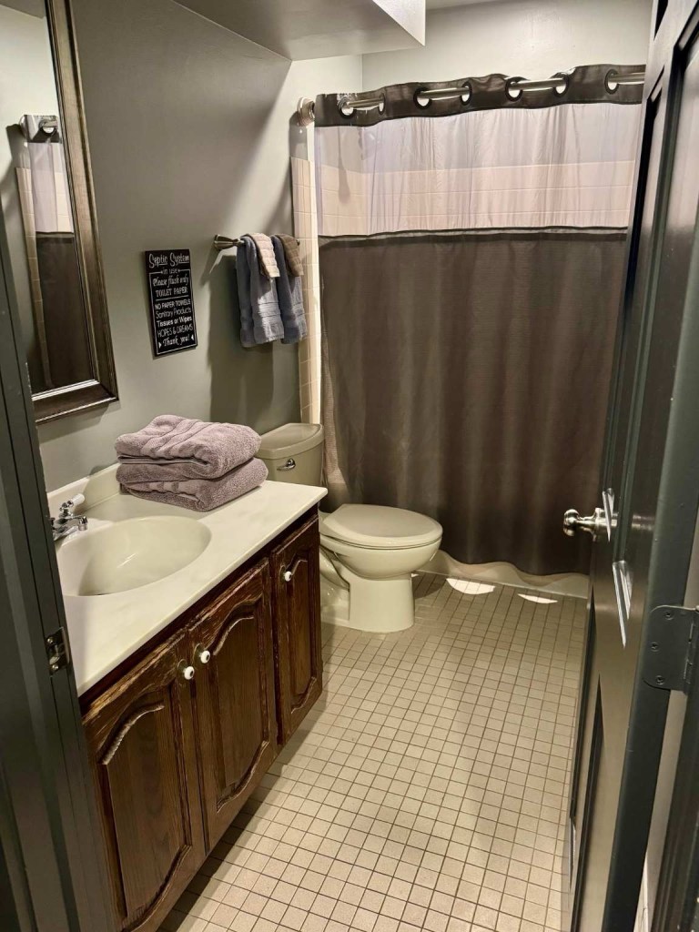 king bathroom showing counter, toilet and bath tub