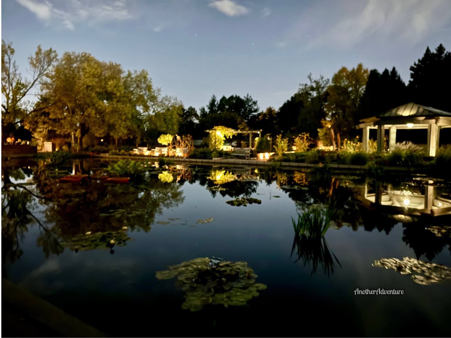 lily pond and gazebo