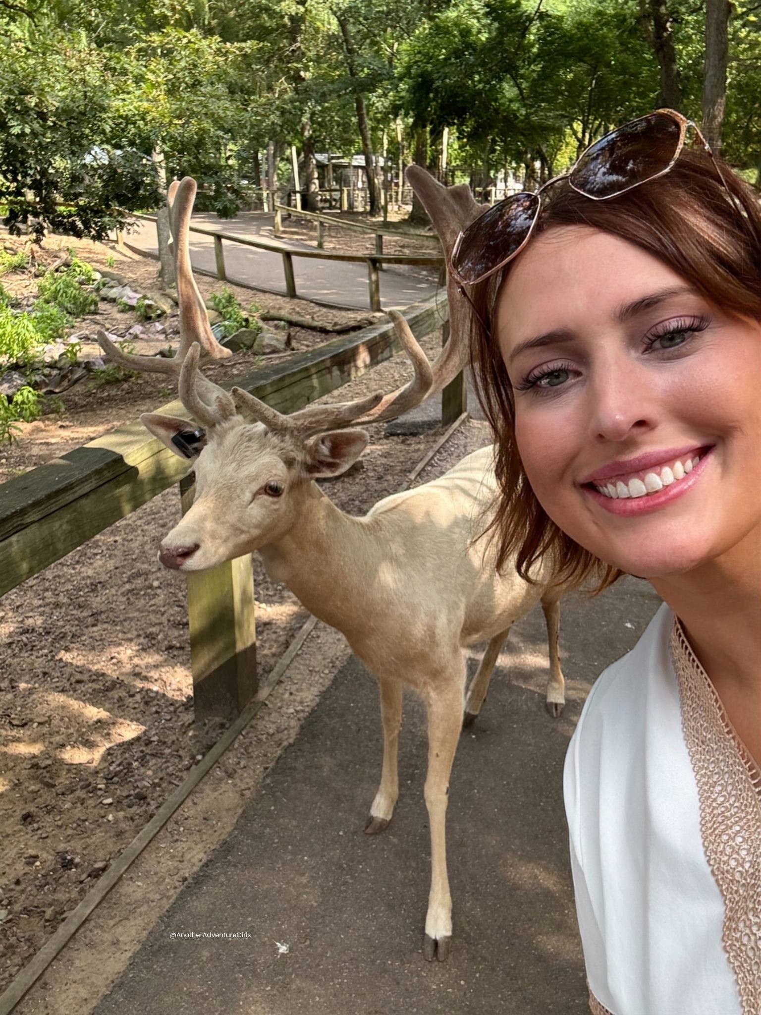 a selfie of erin next to a deer at wisconsin deer park