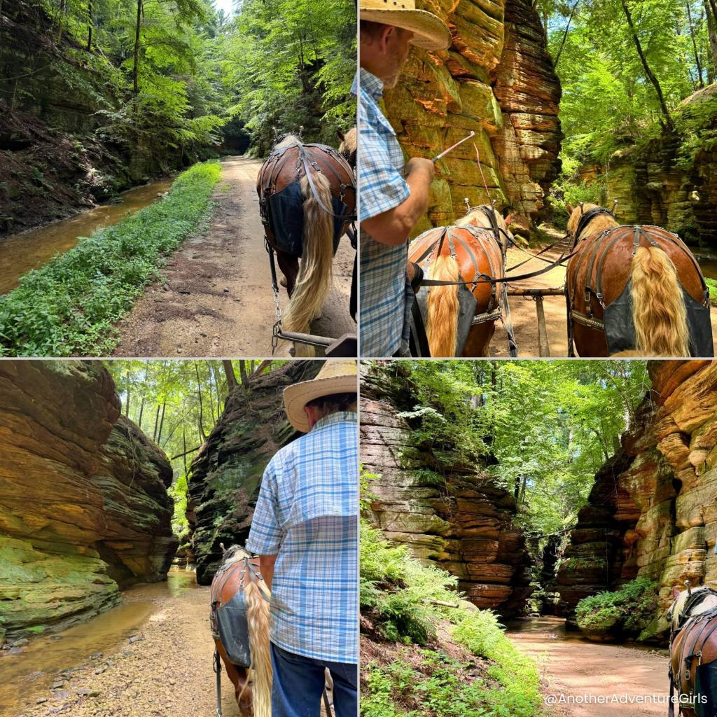 four photos showing the trail and canyons that you will see on the Lost Canyon Tour horse-drawn carriage tour in Wisconsin Dells