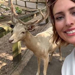 Wisconsin Deer Park: A Family-Friendly Hidden Gem in Wisconsin Dells