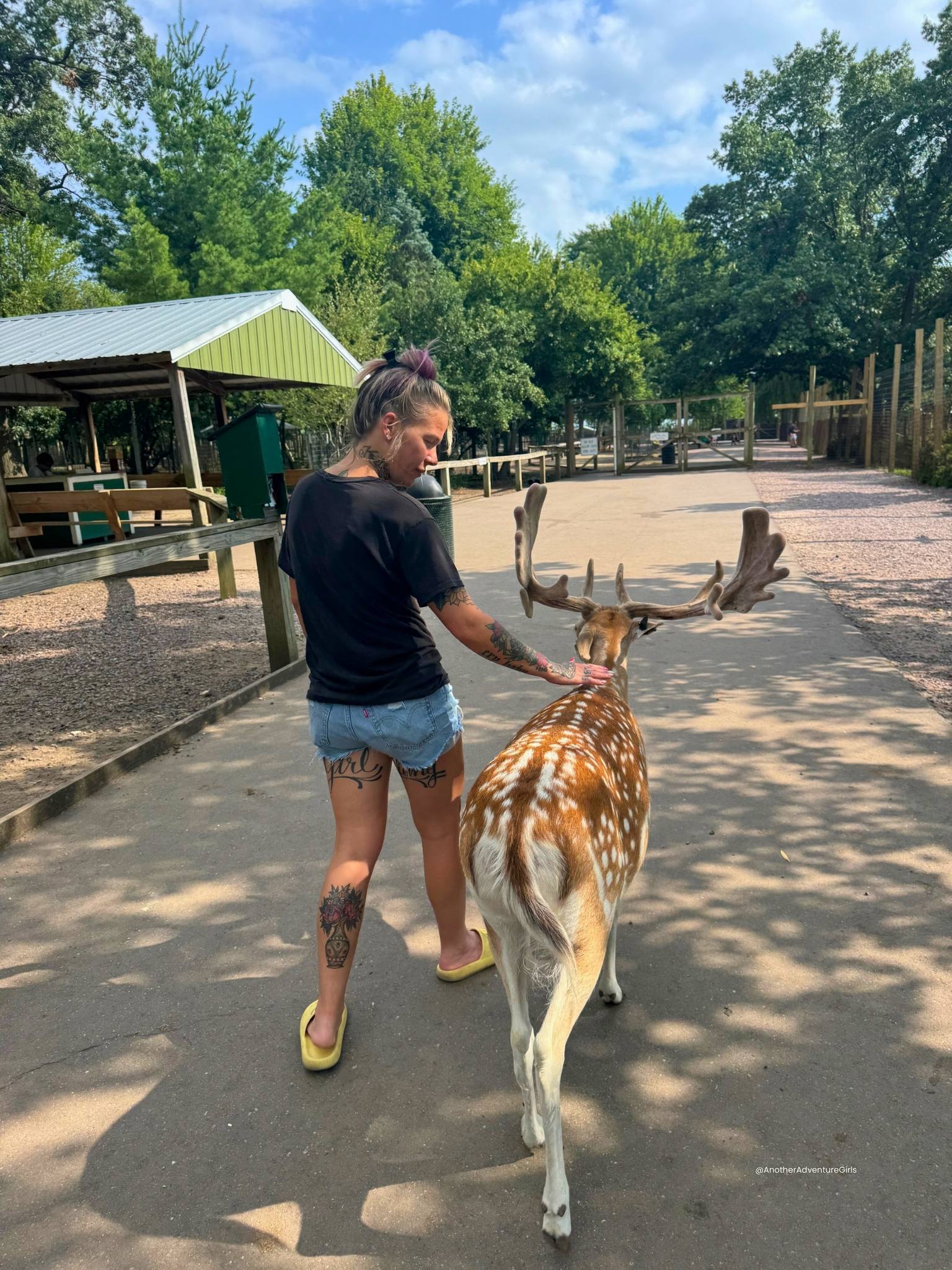 woman petting and walking with a deer along the path at wisconsin deer park