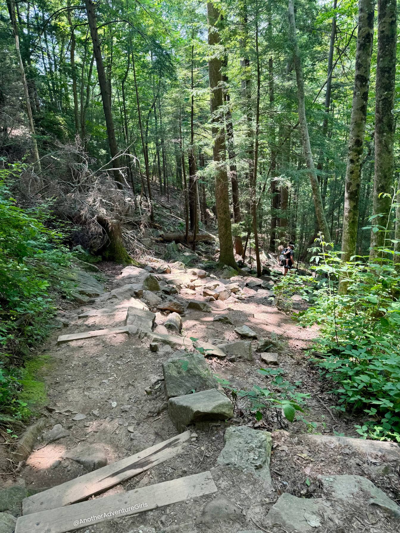 rocky trail down to foster falls