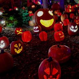 glowing jack o lanterns on the ground