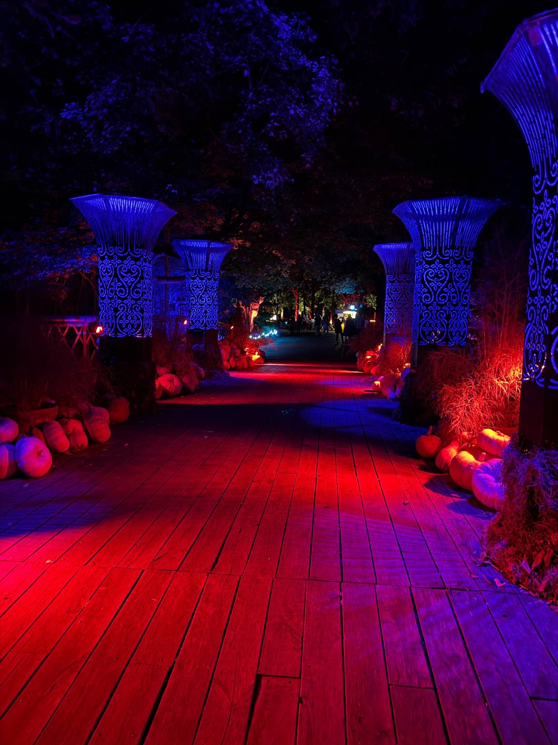 wheelchair accessible path