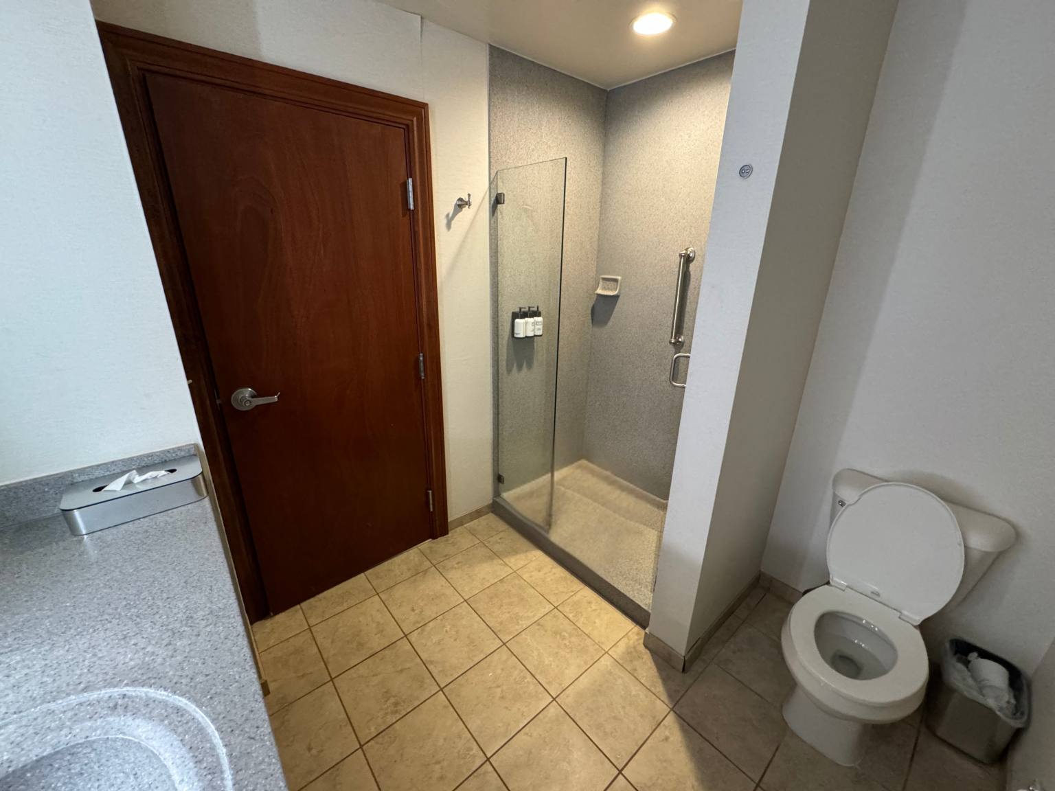 toilet and shower view inside bathroom