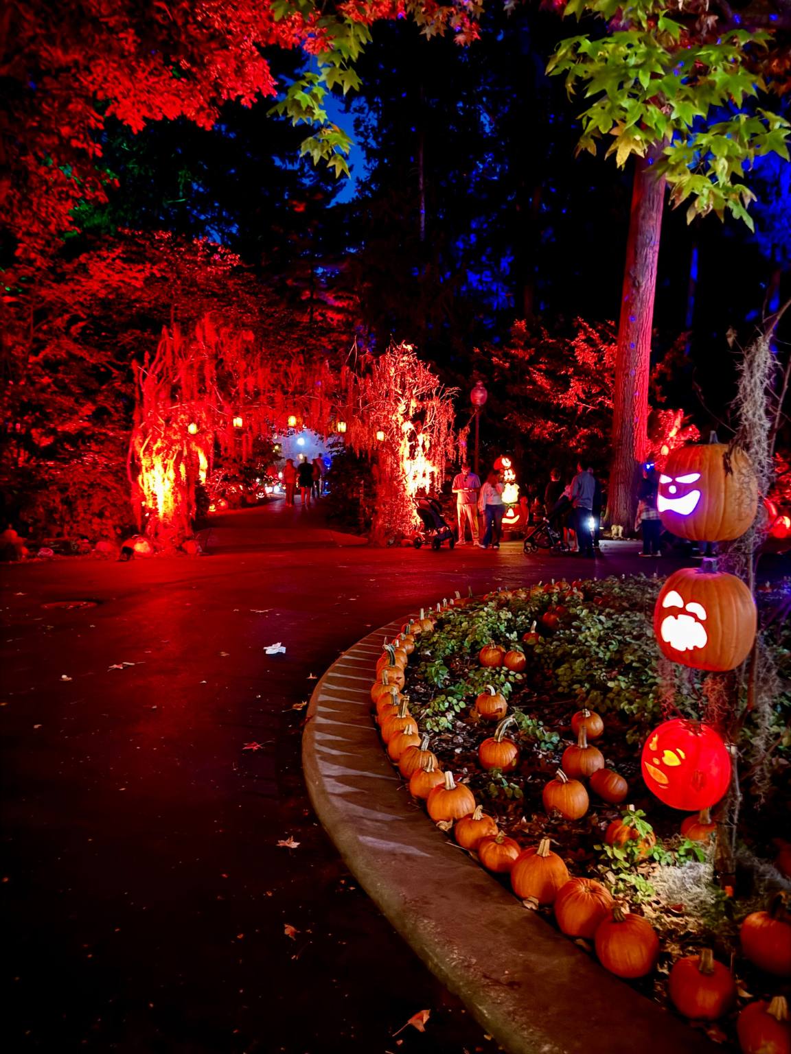 accessible path surrounded by glowing pumpkins