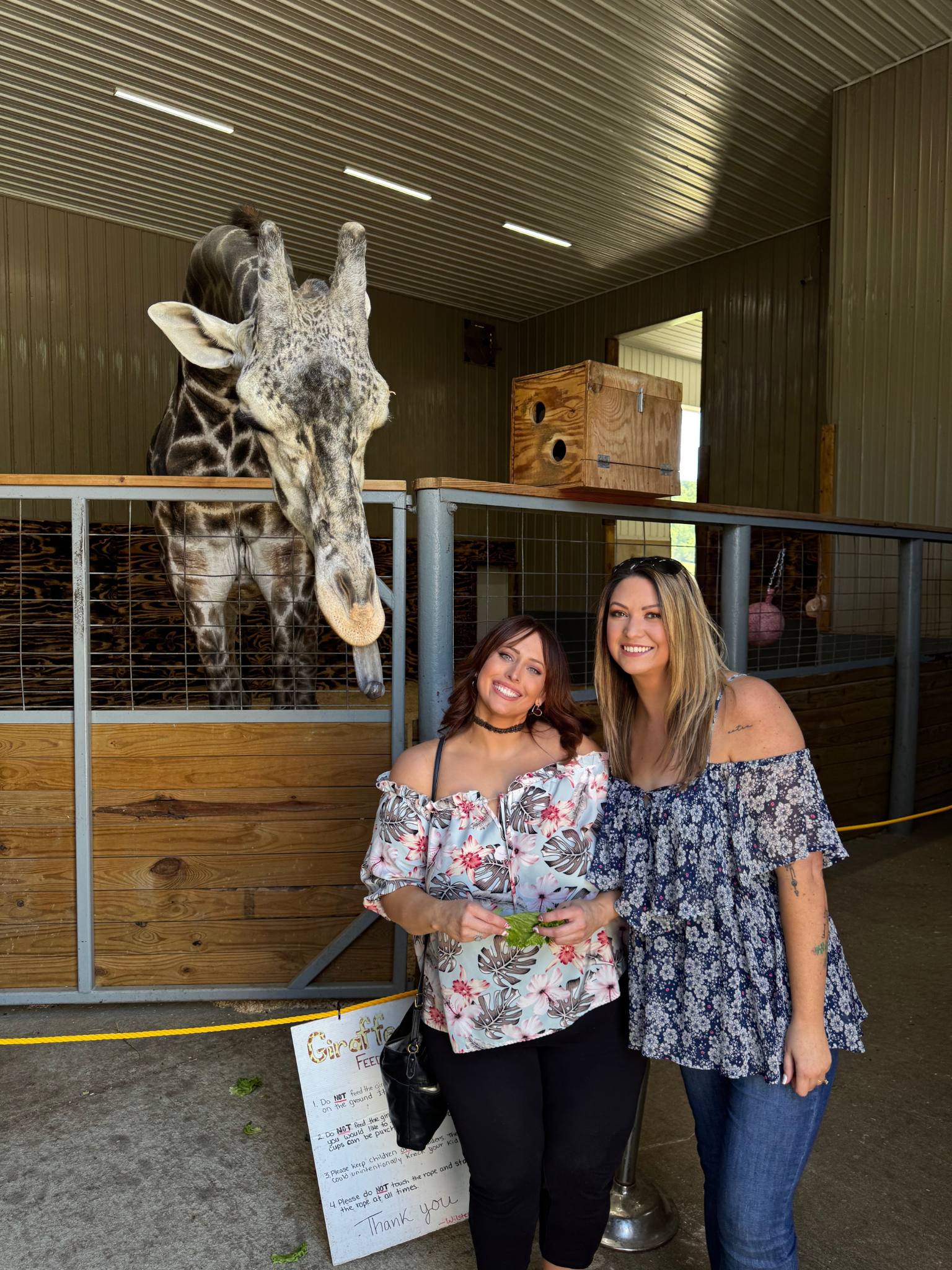 erin and jodi smiling with a giraffe behind them